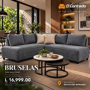 MODELO BRUSELAS