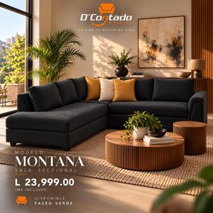 MODELO MONTANA