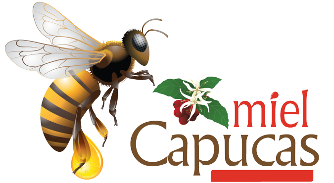 Miel Capucas S.A de C.V