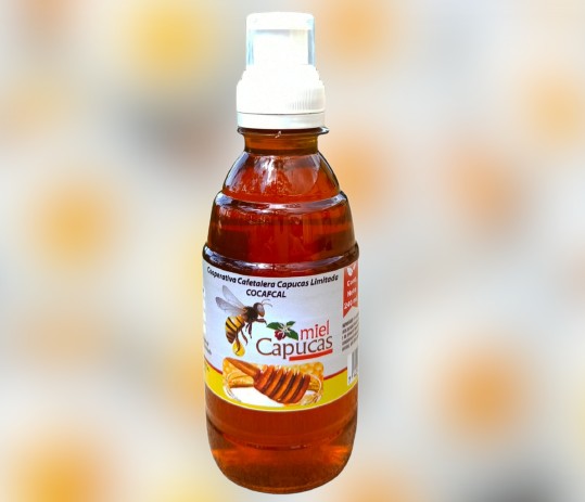 Miel Multiflora 240 ml      