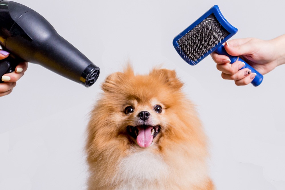 Grooming