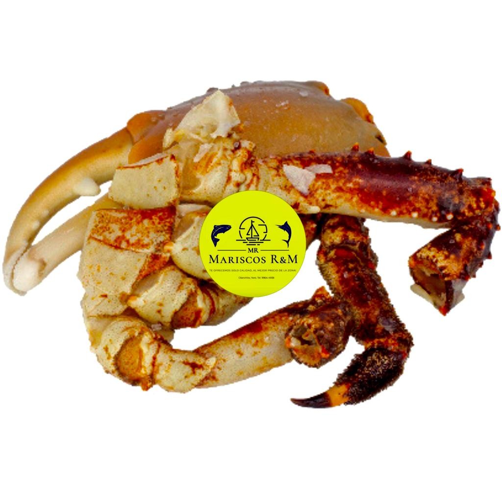 King crab 