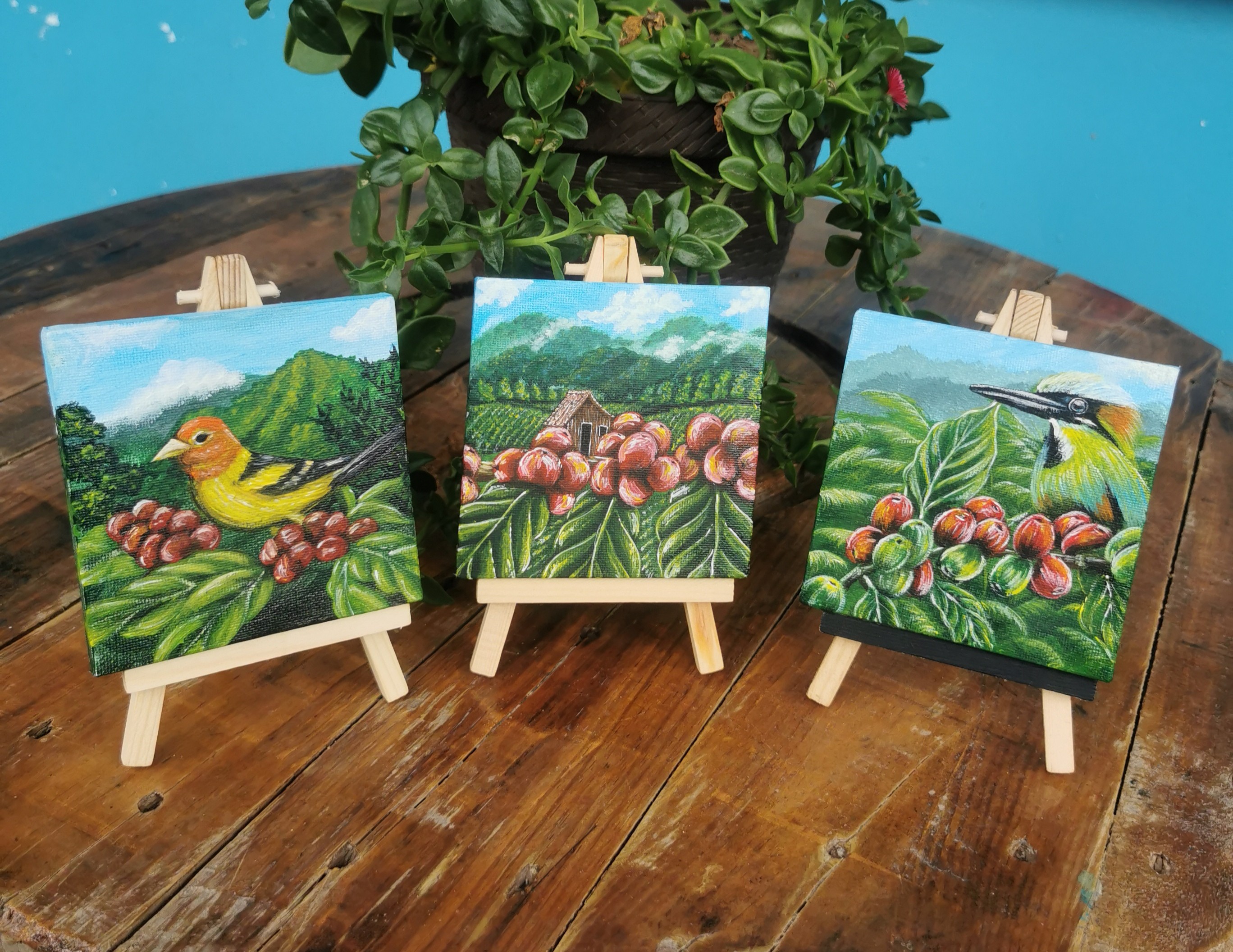 "Colección De Paisajes Cafeteros"