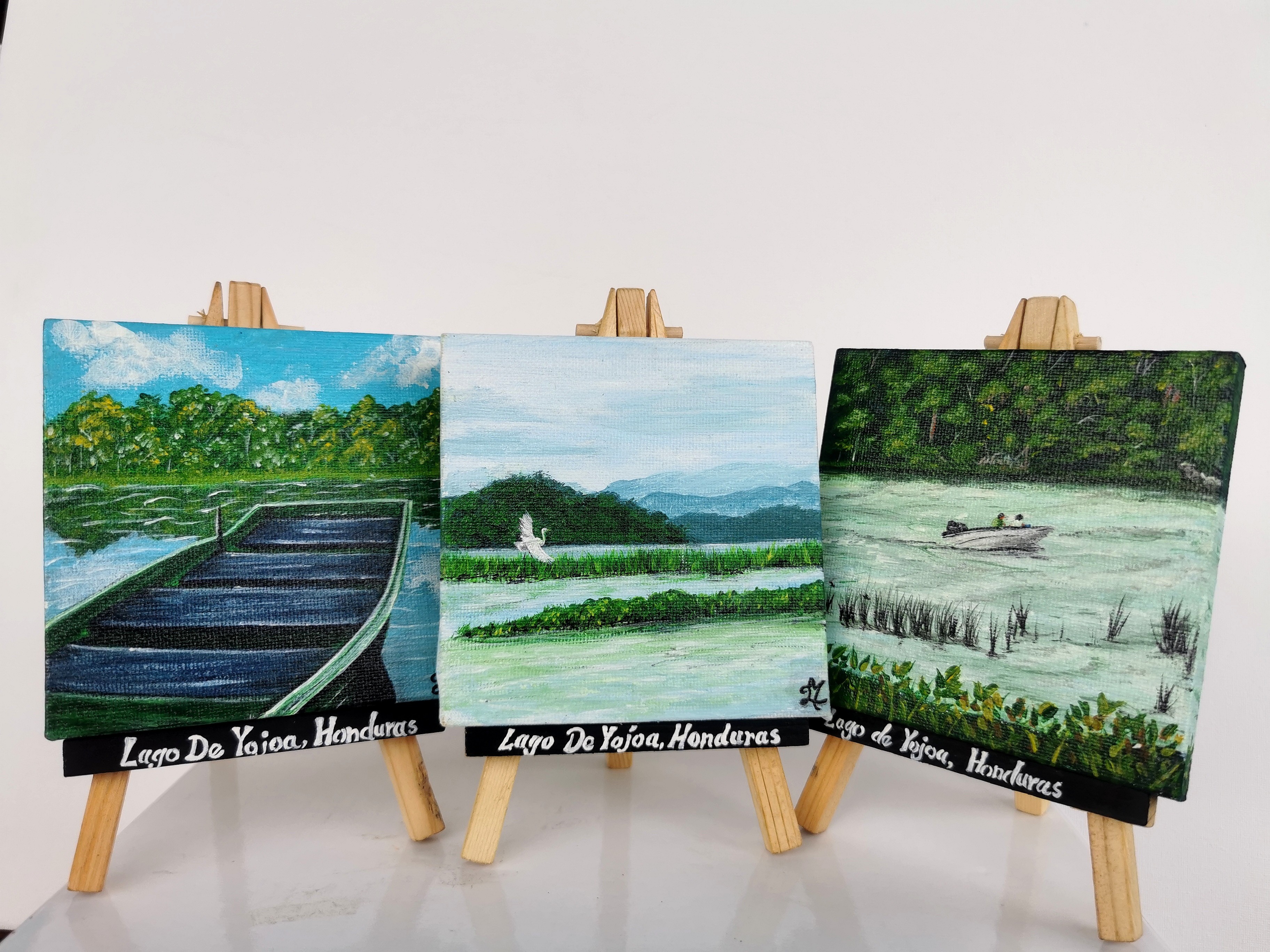 "Colección Lago De Yojoa"