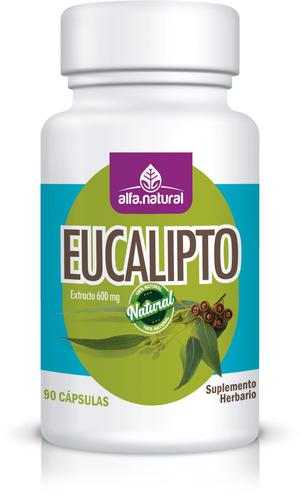 EUCALIPTO
