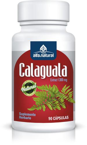 CALAGUALA