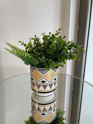 PLANTA ARTIFICIAL ROOTS-SURTIDO