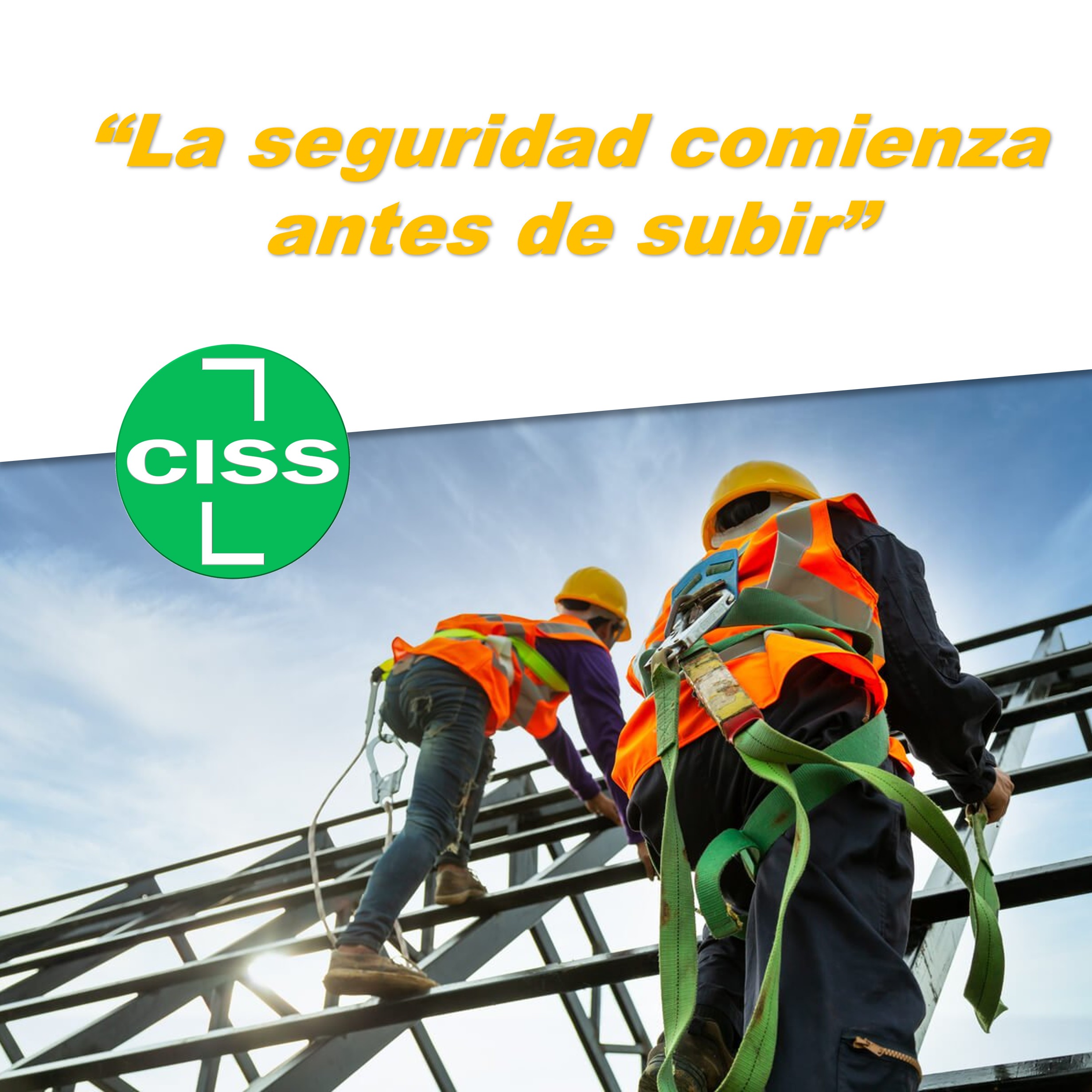 Seguridad en Trabajos en Alturas