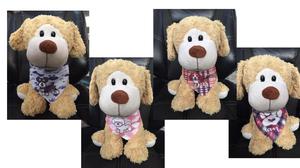 Pañuelos Distinvos para Tus Mascotas
