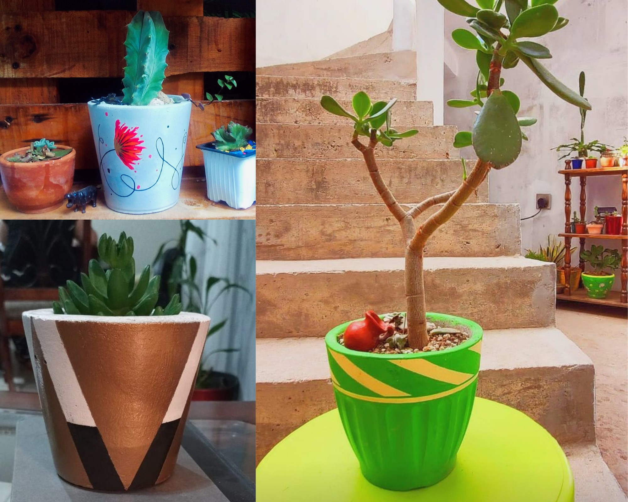 URL: https://media.sube.la/media/19972/19838/JOhTyF77hK.png