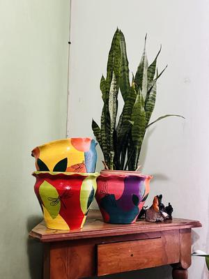 Macetas de Arcilla – Color para tus Plantas