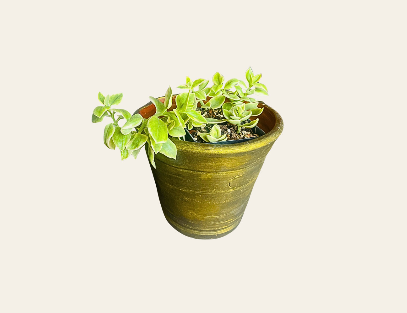 Maceta de pared