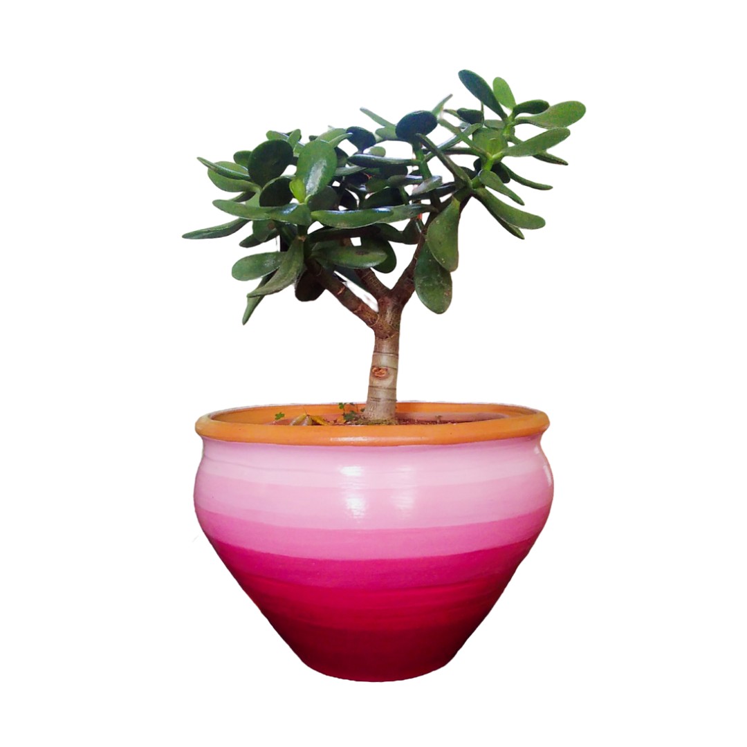 Pantone 2023 Tomato Cherry