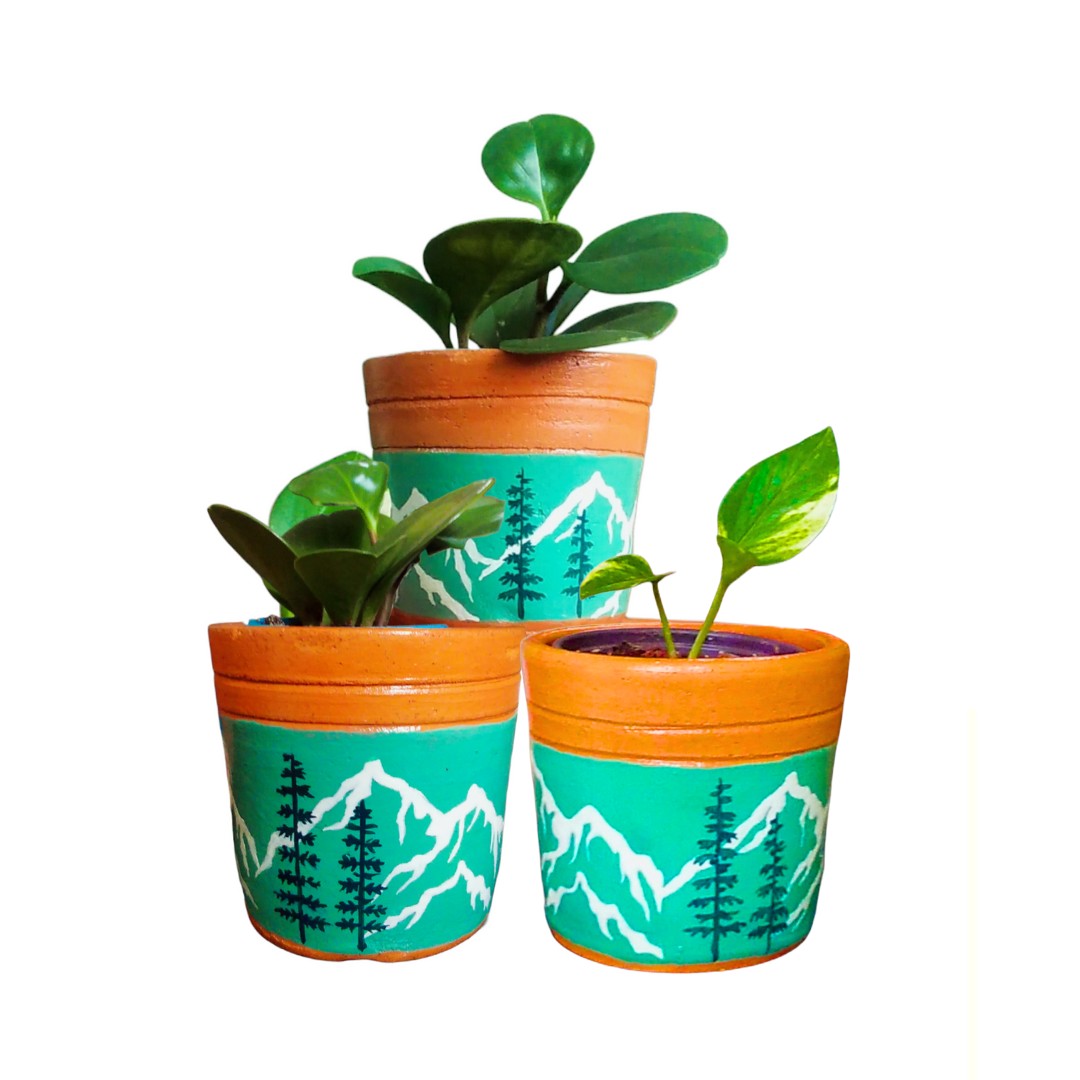 Macet_Bosque Nublado