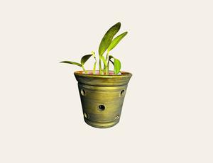 Maceta para orquideas
