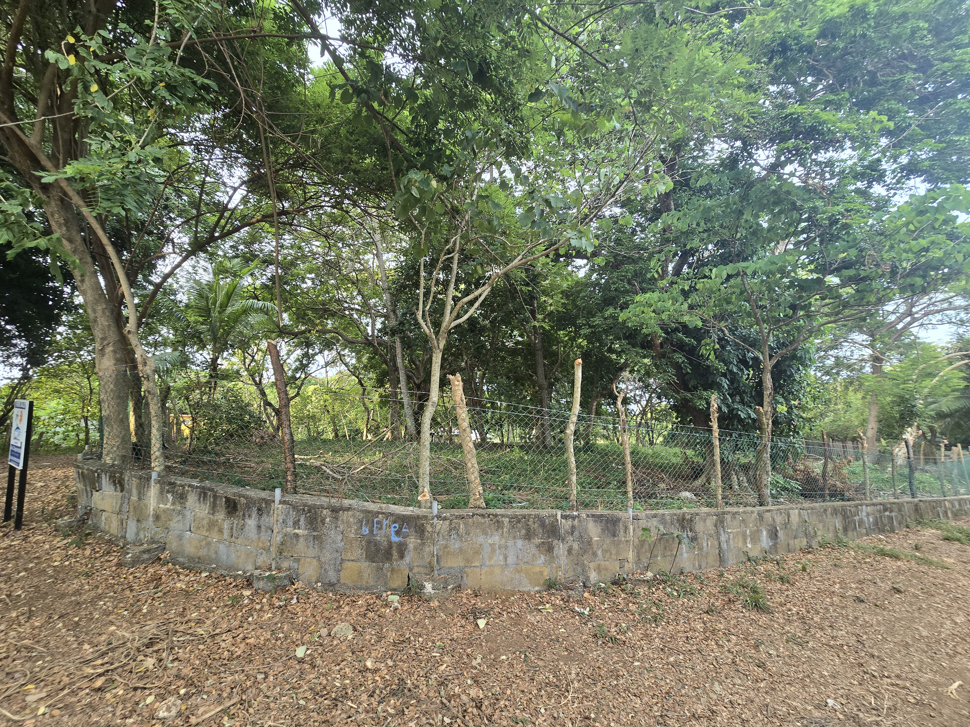 LOTES DE ALTA PLUSVALÍA EN UTILA