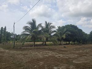 10.44 ACRES OF LAND FOR SALE IN EL PINO EL PORVENIR ATLANTIDA HONDURAS