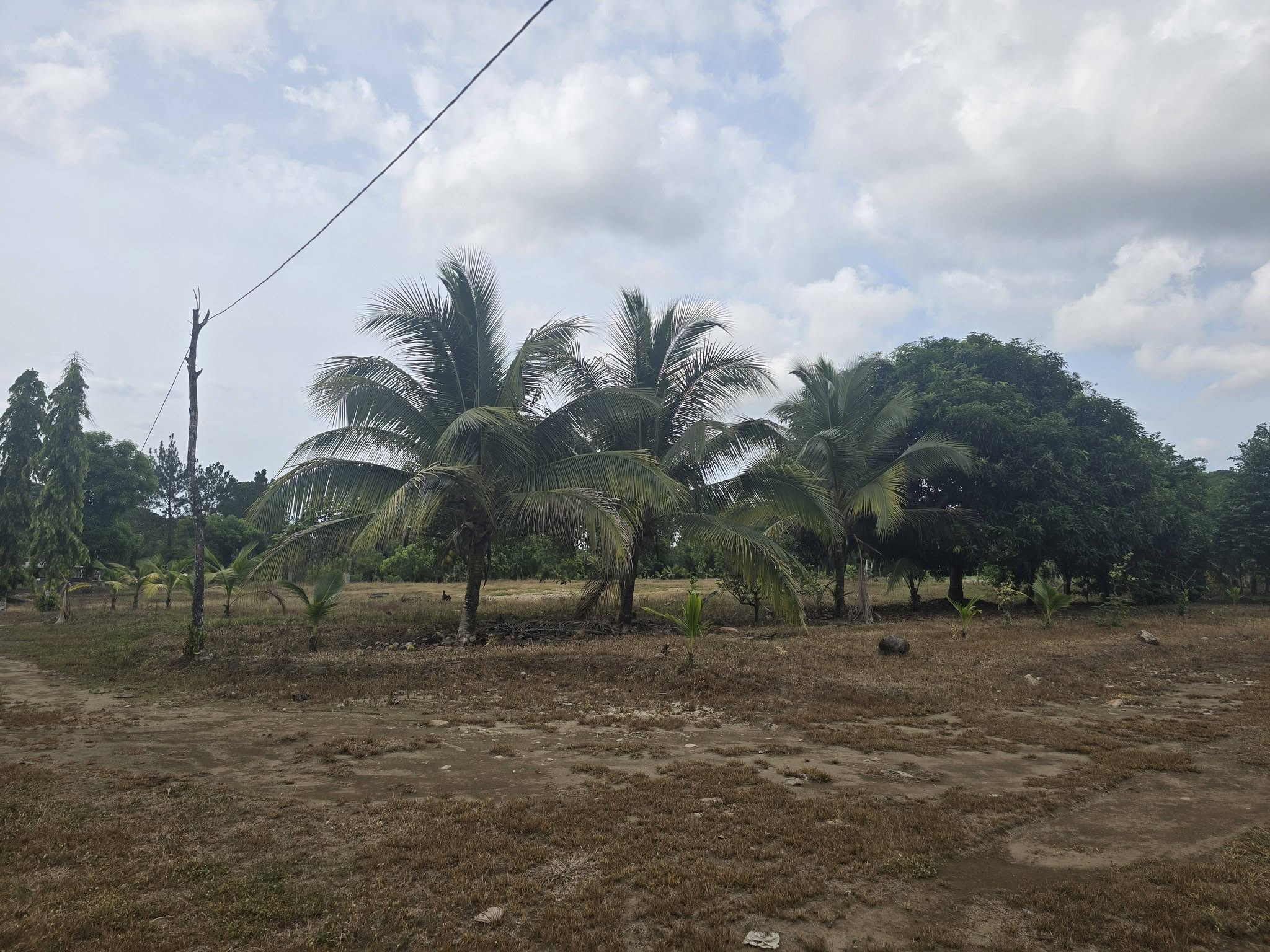 10.44 ACRES OF LAND FOR SALE IN EL PINO EL PORVENIR ATLANTIDA HONDURAS