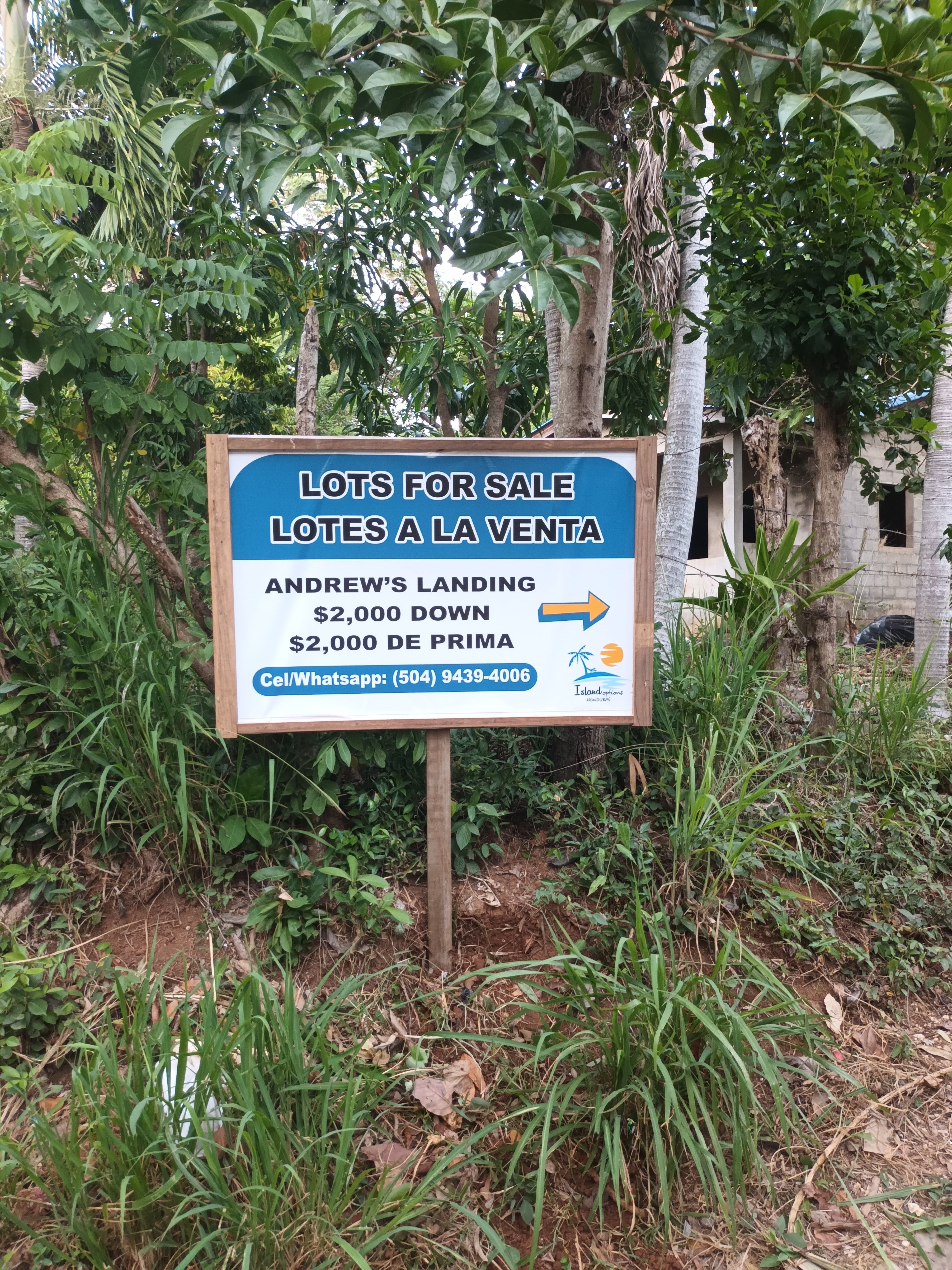 LOTE D1 EN ANDREW´S LANDING