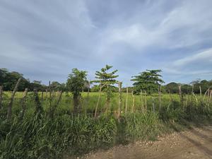 LOTES FRENTE AL AEROPUERTO