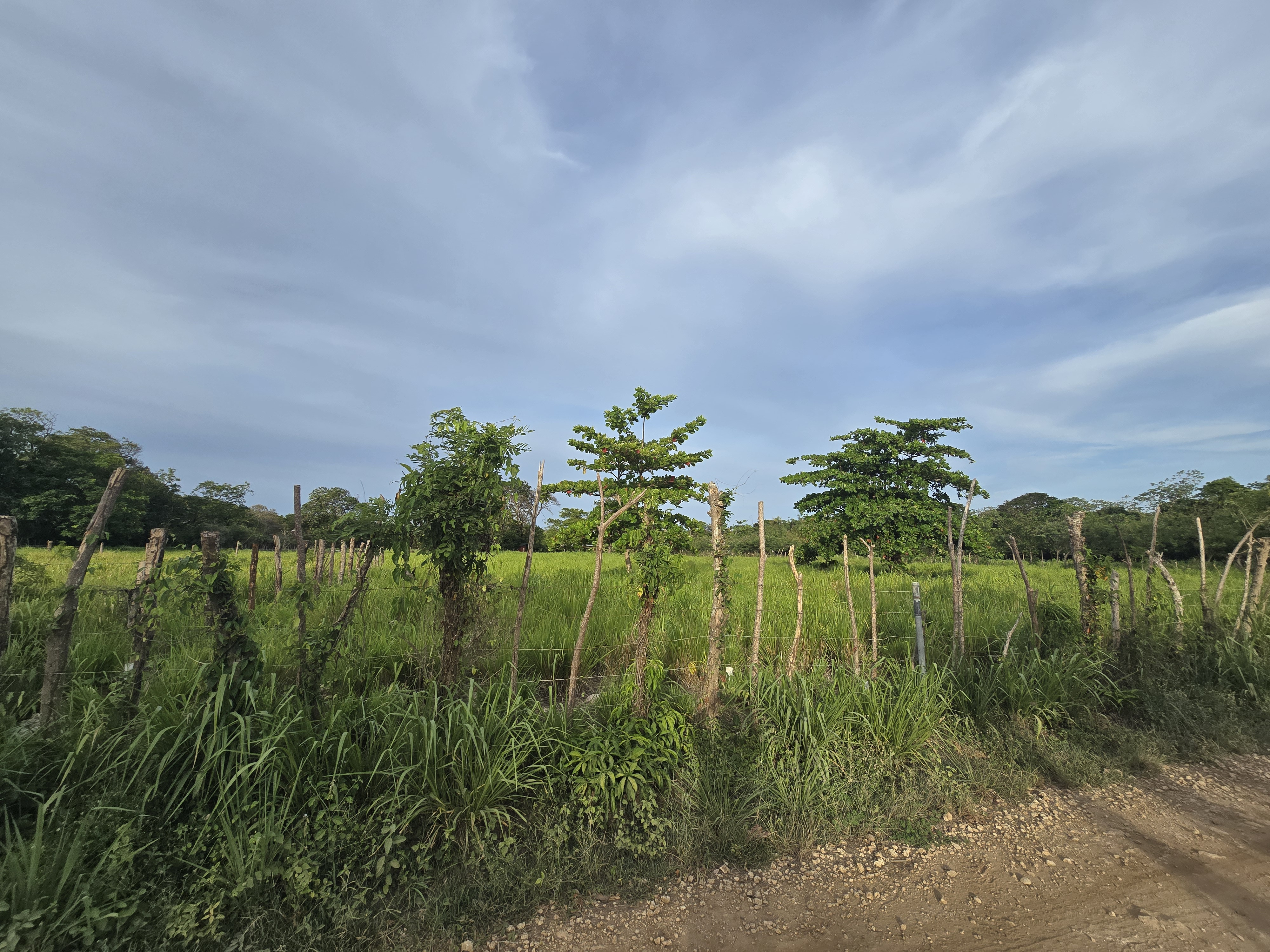 LOTES FRENTE AL AEROPUERTO