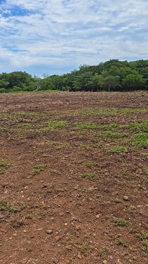 LOTE K3 EN ANDREW´S LANDING