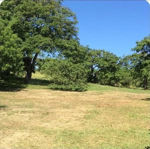 LOTE 24 TREASURE HILL