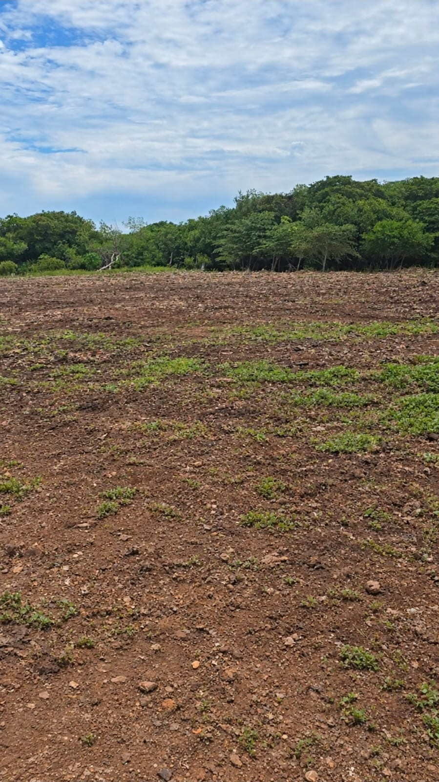 LOTE K4 EN ANDREW´S LANDING