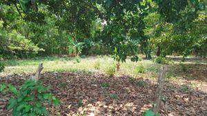 LOTE DE 100 X 100 EN SWANISH RIDGE