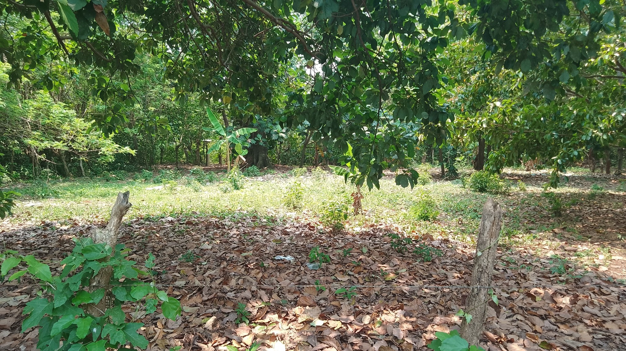 LOTE DE 100 X 100 EN SWANISH RIDGE