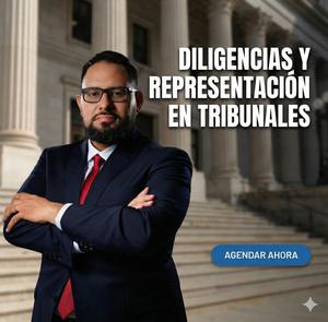 Litigios &  Diligencias en Tribunales