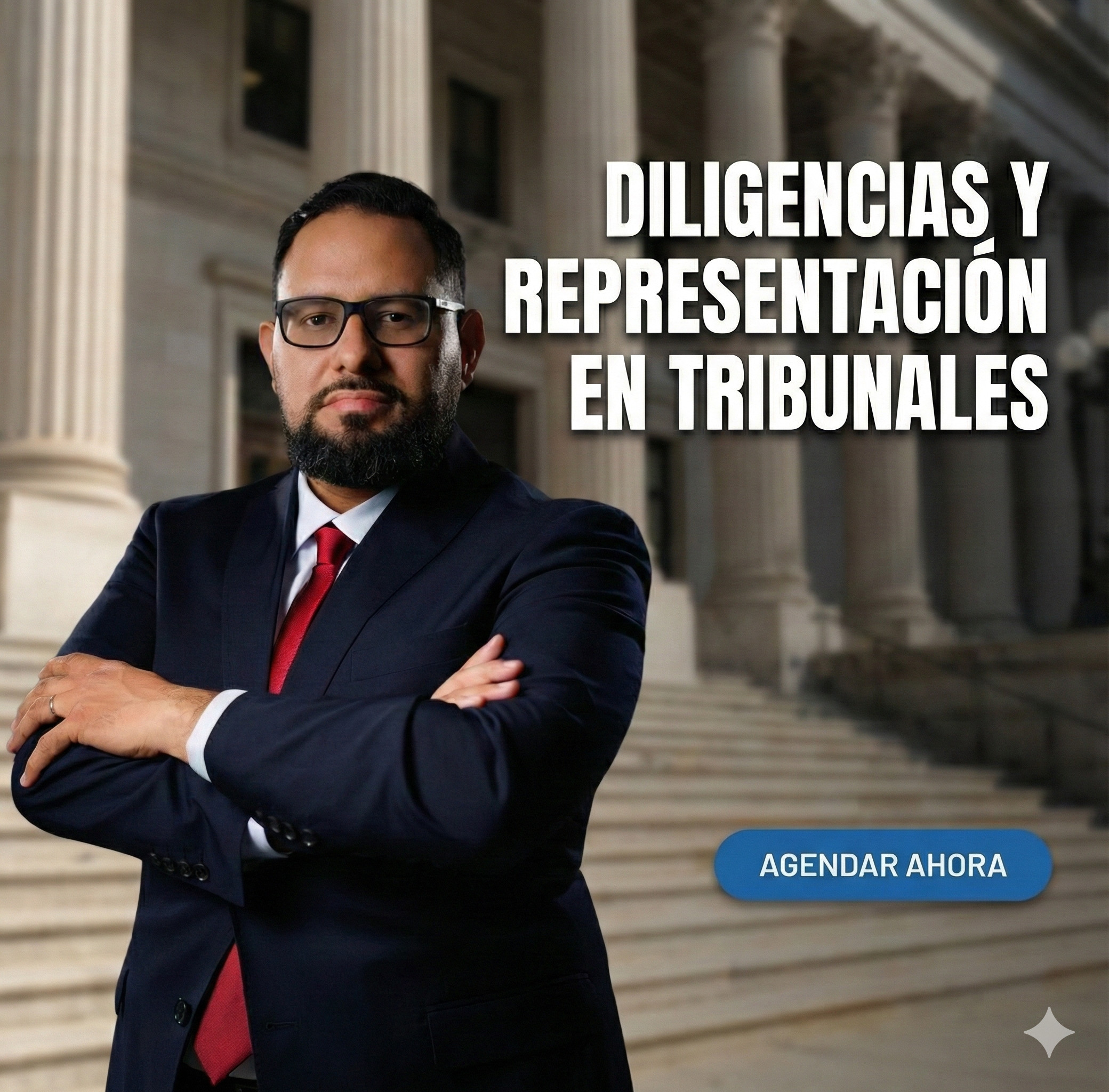 Litigios &  Diligencias en Tribunales