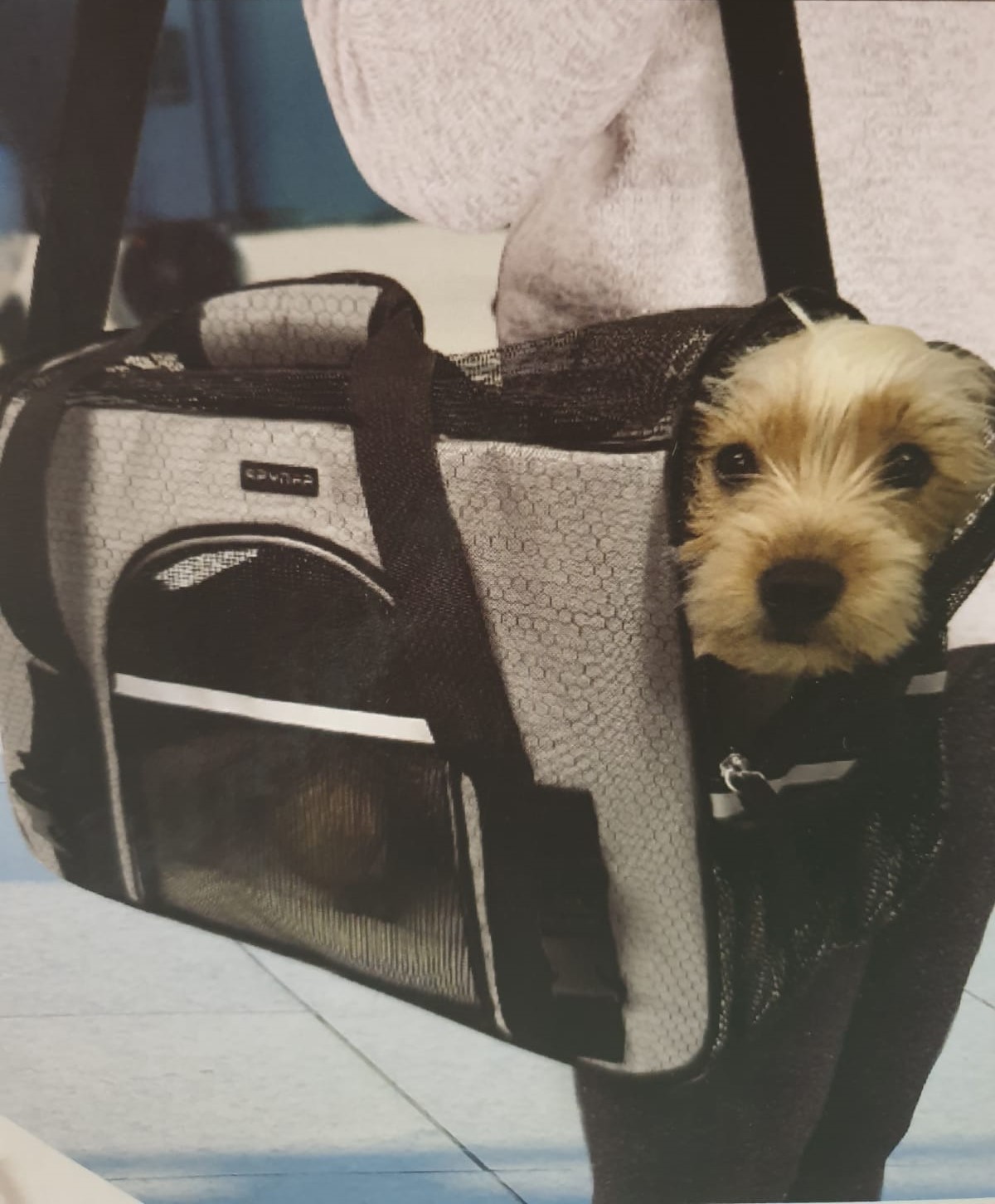 Bolso De Viaje Para Mascota 