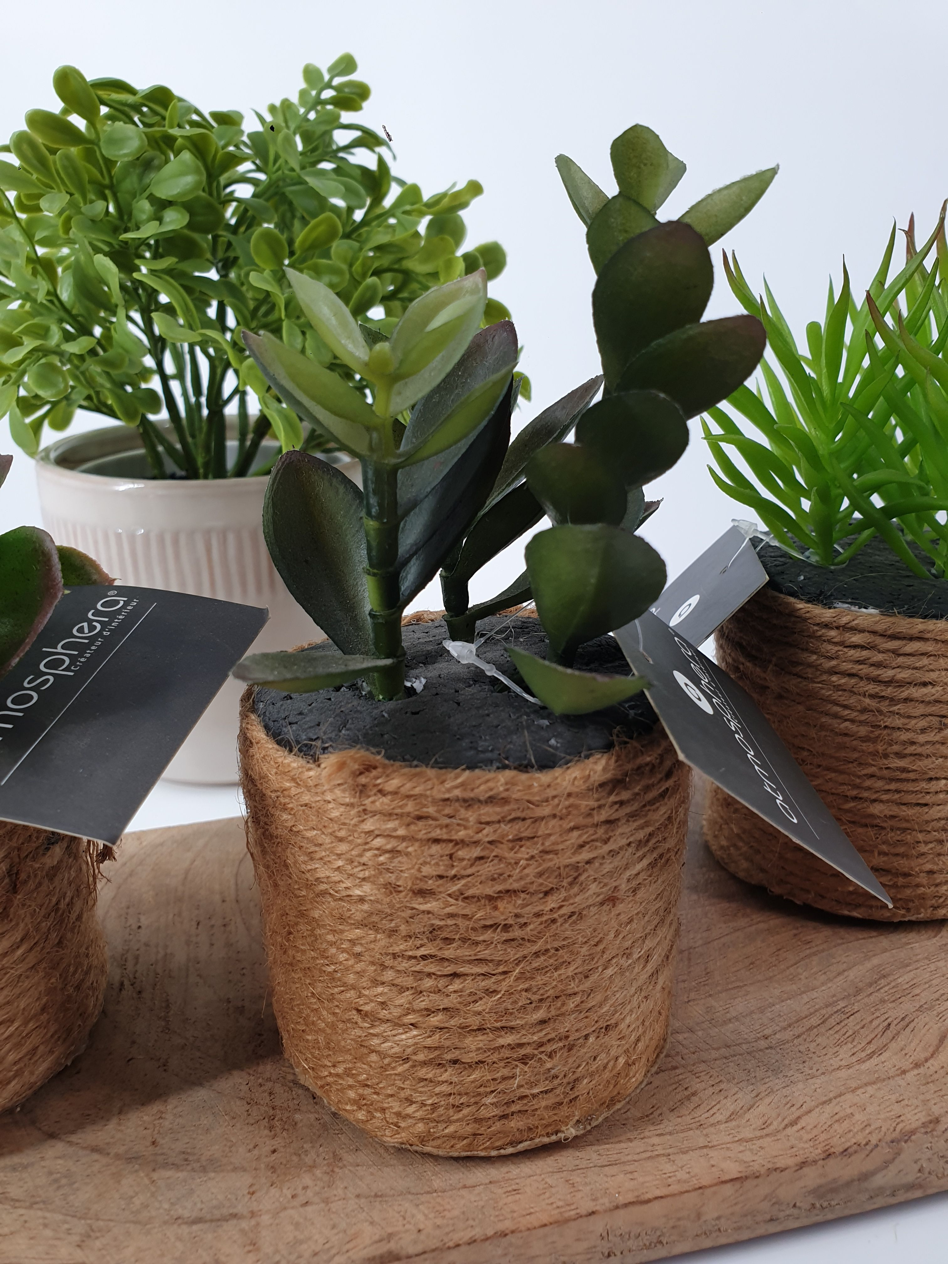 PLanta Artificial Suculenta 