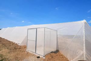 Casa Malla: Protección Inteligente y Ventilación Máxima