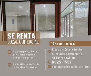 Local en Renta