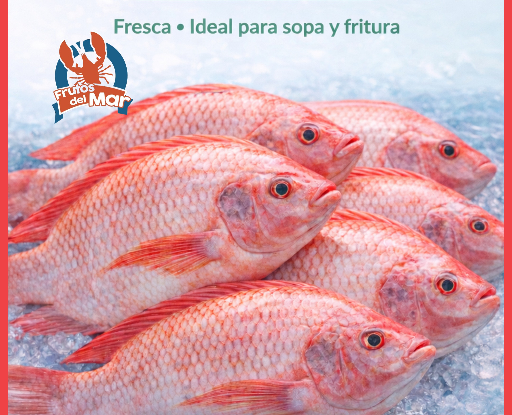 Pescado Tilapia con escama