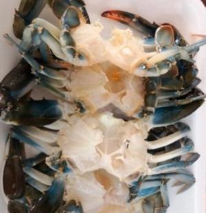 JAIBA LIMPIA (6 unid) 