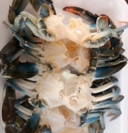 JAIBA LIMPIA (6 unid) 