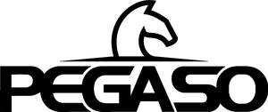 PEGASO P6692SG-070105B