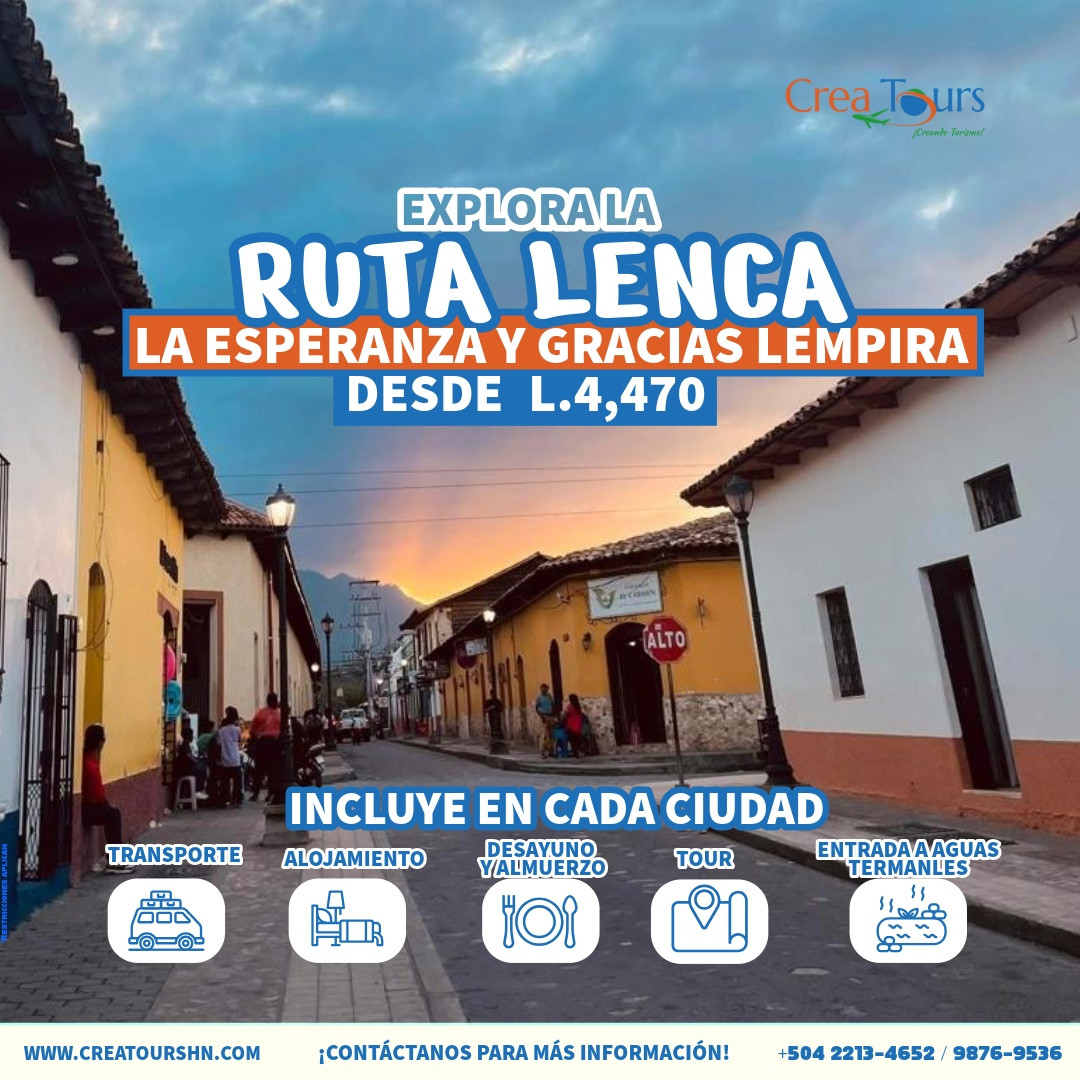 URL: https://media.sube.la/media/24624/24489/iuOCtMRK53.jpeg