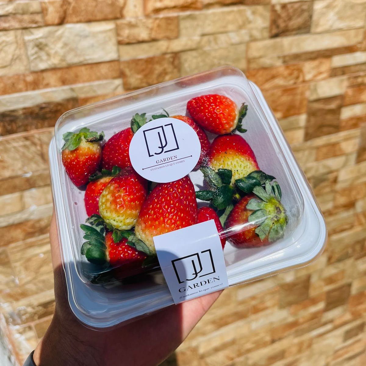 Bandeja de fresa fresca