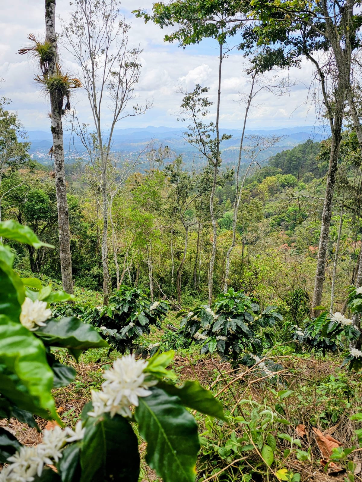 URL: https://media.sube.la/media/25517/25382/9SmF6naOoL.jpeg