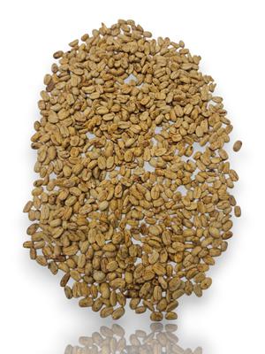 Special Reserve: Olancho Geisha (Green Coffee)