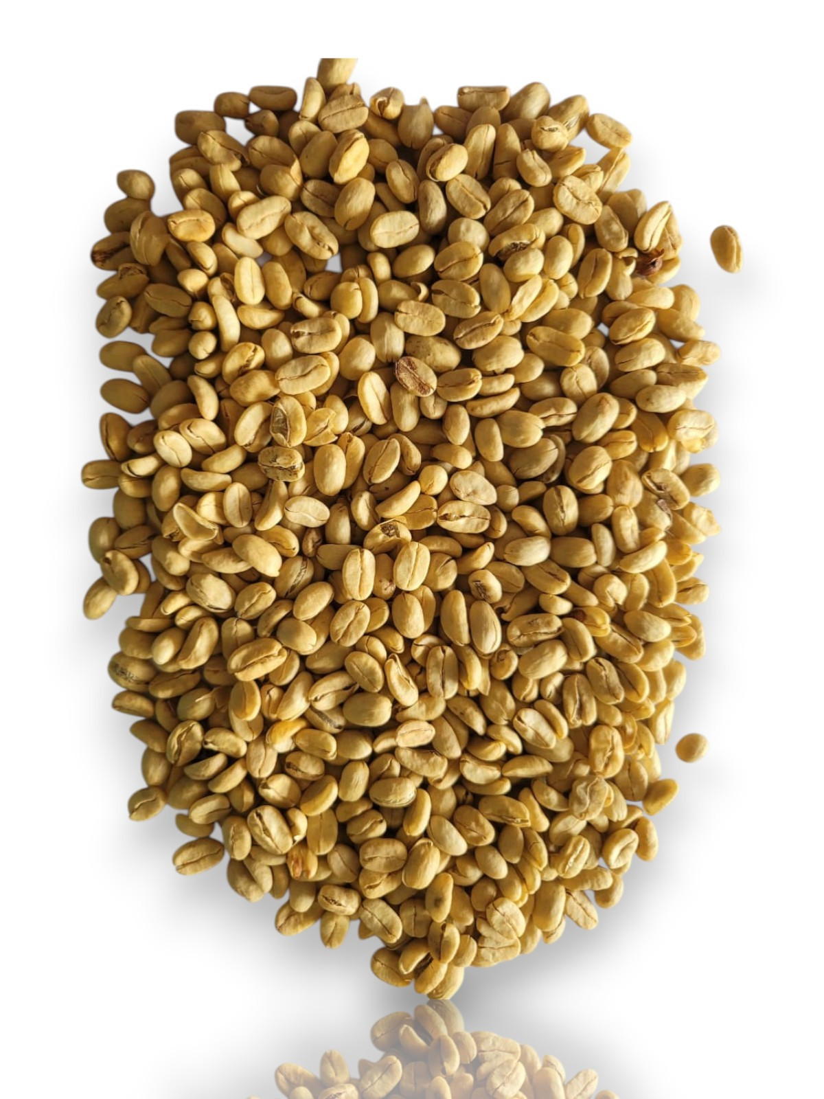 Premium Selection: Olancho Parainema (Green Coffee)