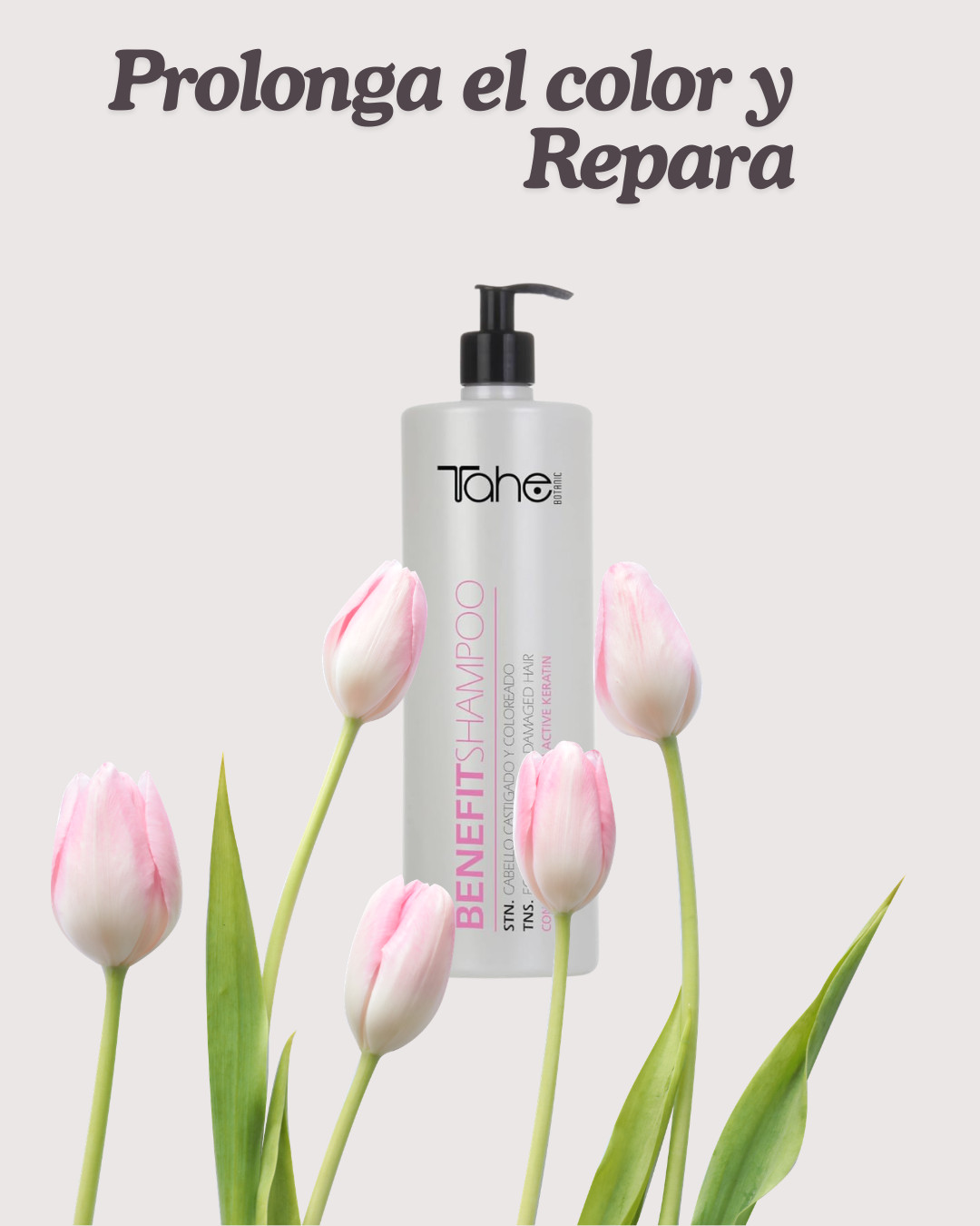 Tahe Benefit Shampoo Litro