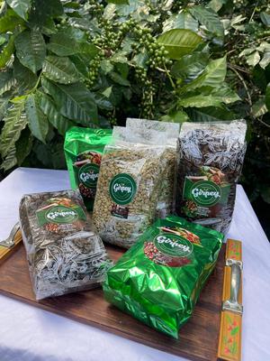 Café cultivado de la finca plantillo de Yahweh