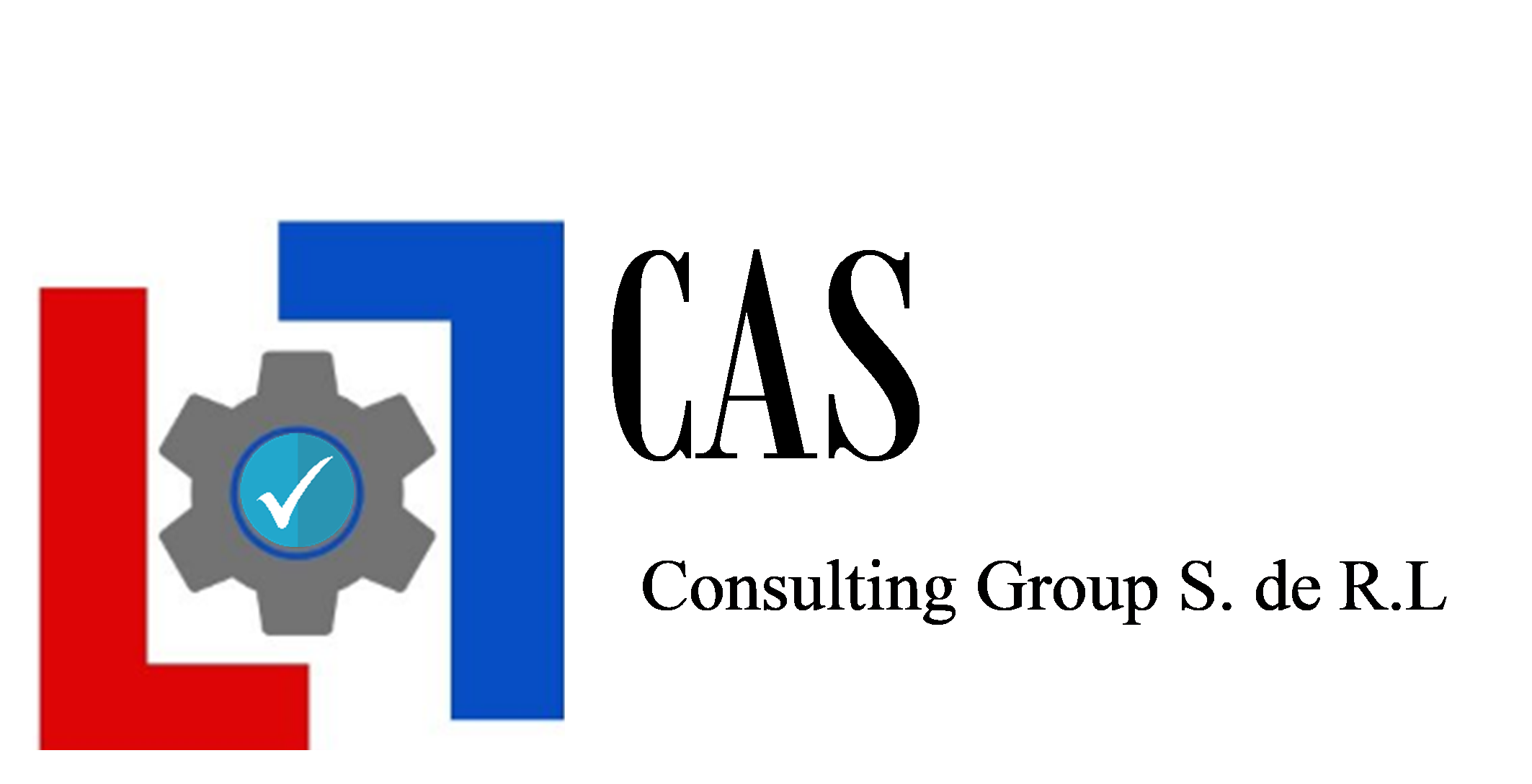 CAS CONSULTING GROUP