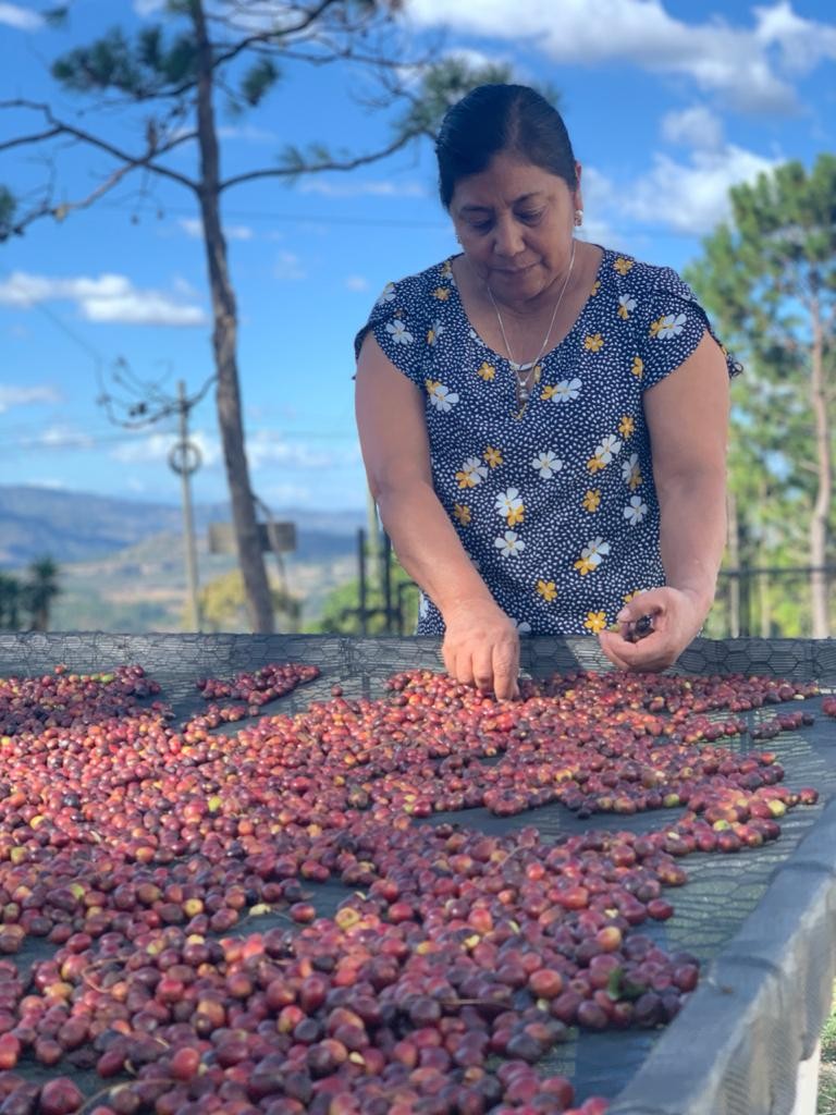 2 LB Brothers Organic Coffee, La Flores