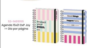 Agenda 15x21 DxP Joy 2025